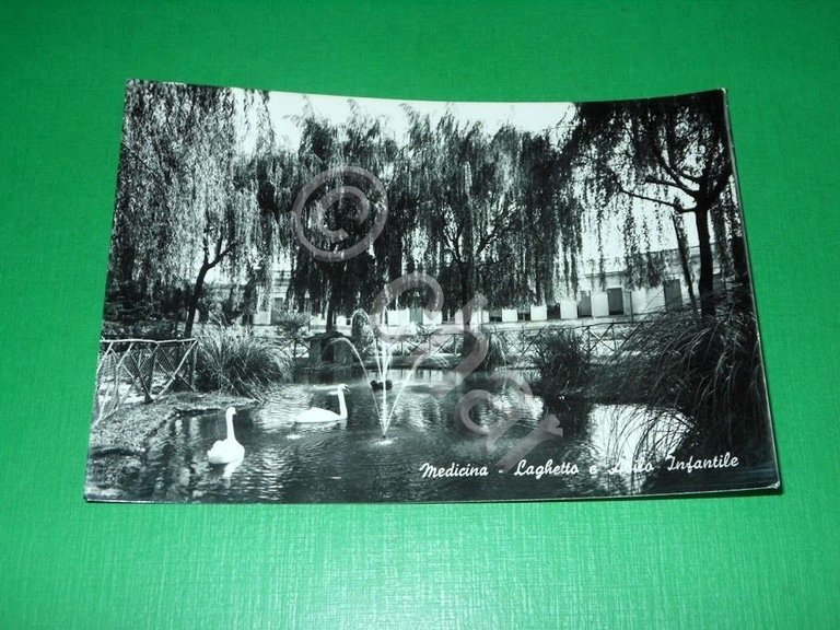 Cartolina Medicina ( Bologna ) - Laghetto e Asilo Infantile …