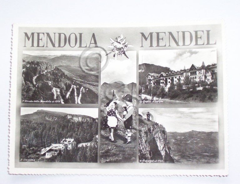 Cartolina Mendola ( Trento ) - Vedute diverse -- 1958