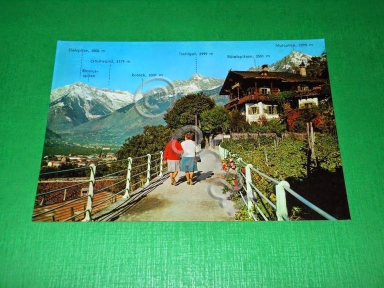 Cartolina Merano - Passeggiata Tappeiner 1960 ca.