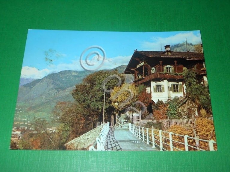 Cartolina Merano - Passeggiata Tappeiner 1967.