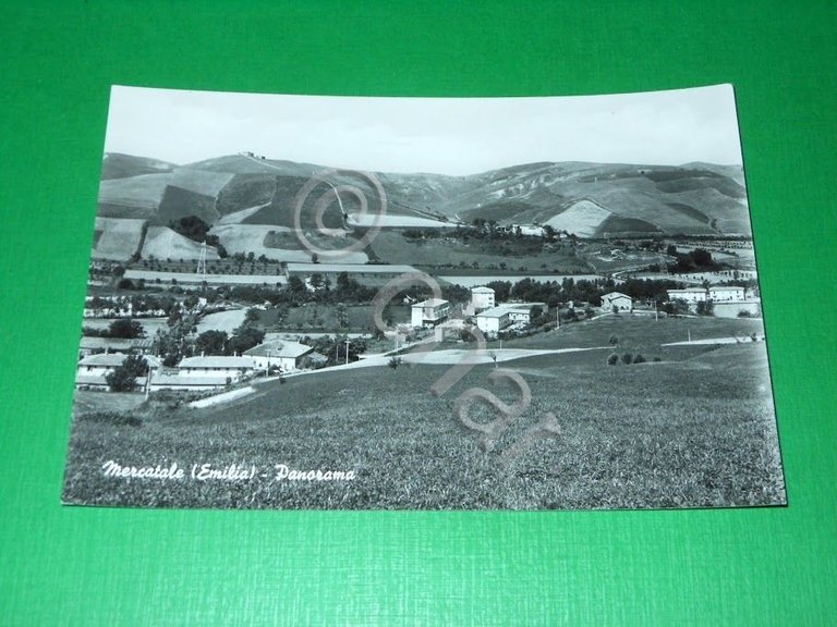 Cartolina Mercatale ( Emilia ) - Panorama 1960 ca