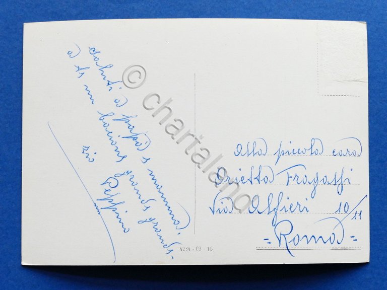 Cartolina Messina - Via Garibaldi e Passeggiata a mare - …