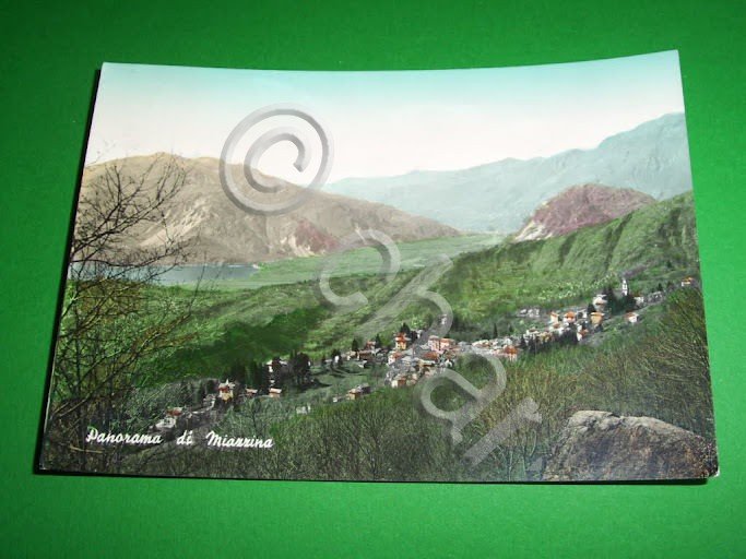 Cartolina Miazzina - Panorama 1958