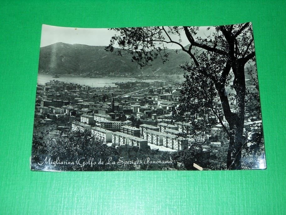 Cartolina Migliarina ( Golfo de La Spezia ) - Panorama …