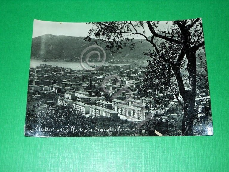 Cartolina Migliarina ( Golfo de La Spezia ) - Panorama …