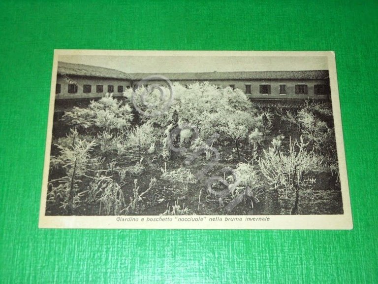 Cartolina Milano - Convento dei Padri Cappuccini - Giardino 1932