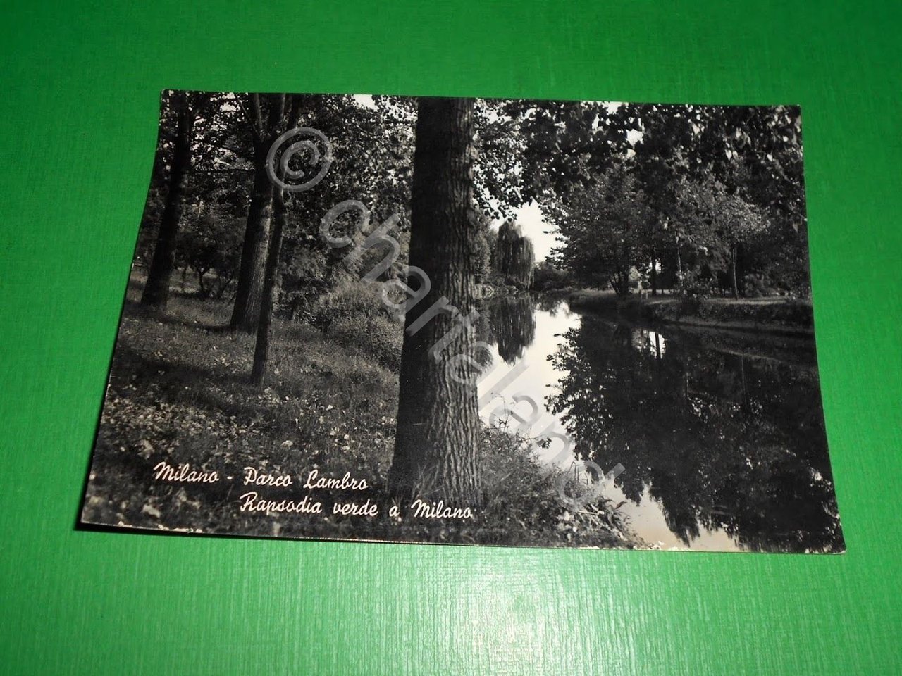 Cartolina Milano - Parco Lambro - Rapsodia verde a Milano …