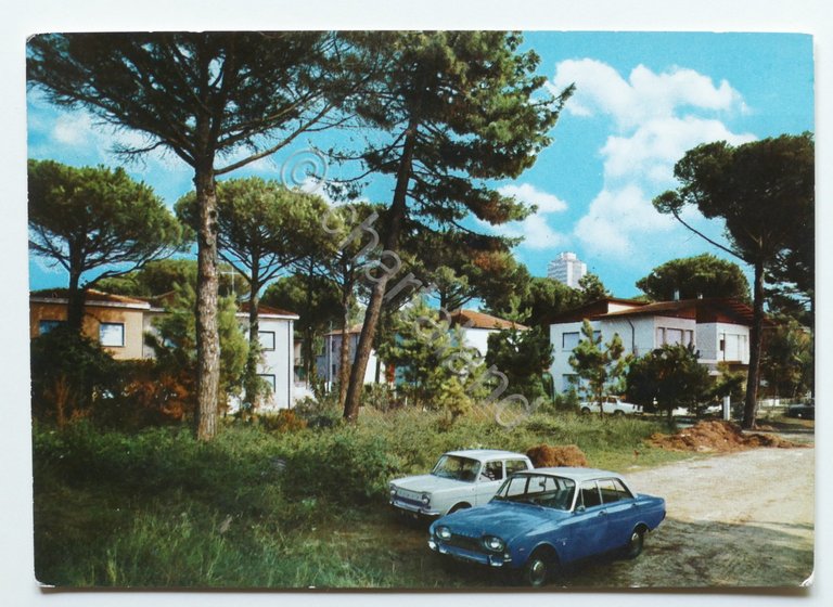 Cartolina Milano Marittima - Ville nella Pineta - 1965