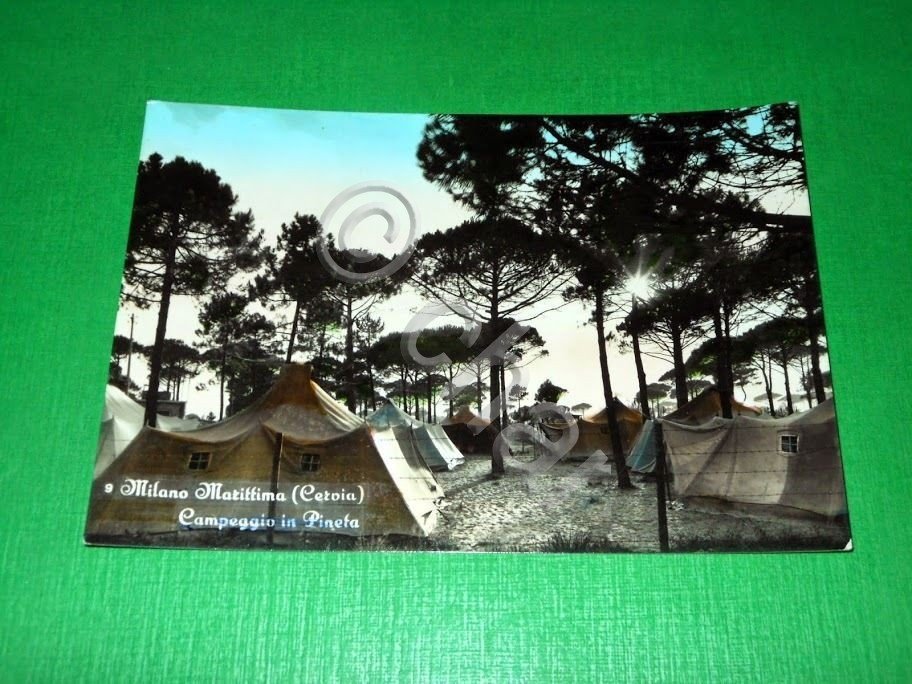 Cartolina Milano Marittima ( Cervia ) - Campeggio in Pineta …