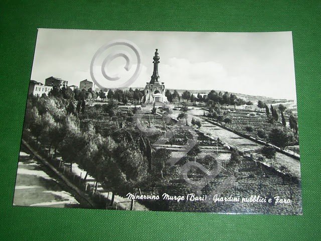 Cartolina Minervino Murge ( Bari ) - Giardini pubblici e …