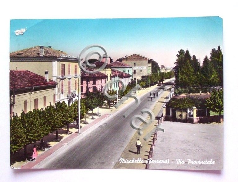 Cartolina Mirabello ( Ferrara ) - Via Provinciale 1960