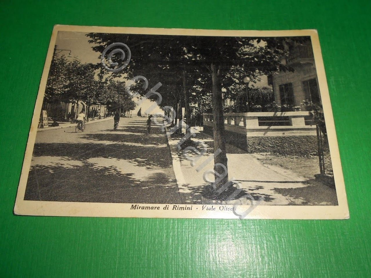 Cartolina Miramare di Rimini - Viale Oliveti 1951.