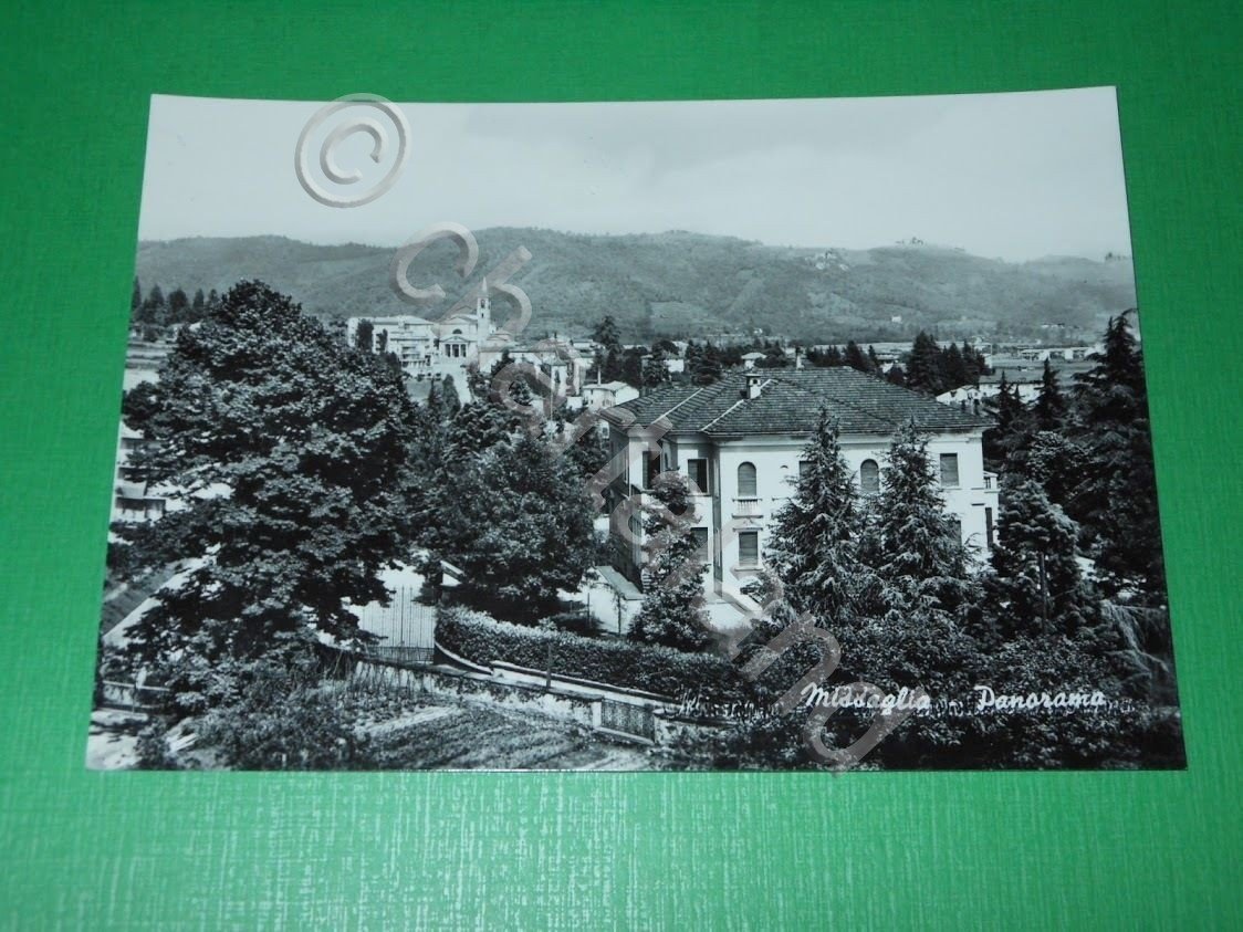 Cartolina Missaglia - Panorama 1960 ca.