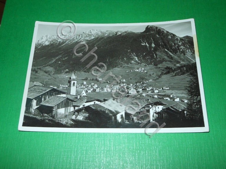 Cartolina Moena - Gruppo dei Monzoni - Panorama 1936