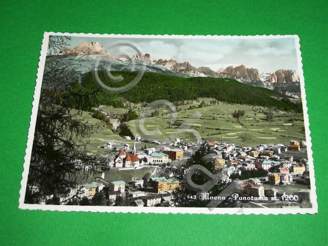 Cartolina Moena - Panorama generale 1950 ca