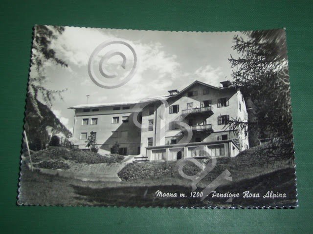 Cartolina Moena - Pensione Rosa Alpina 1964