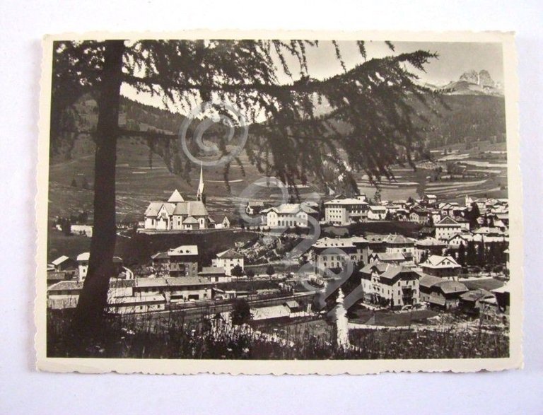 Cartolina Moena ( Dolomiti di Fassa ) - Panorama 1953