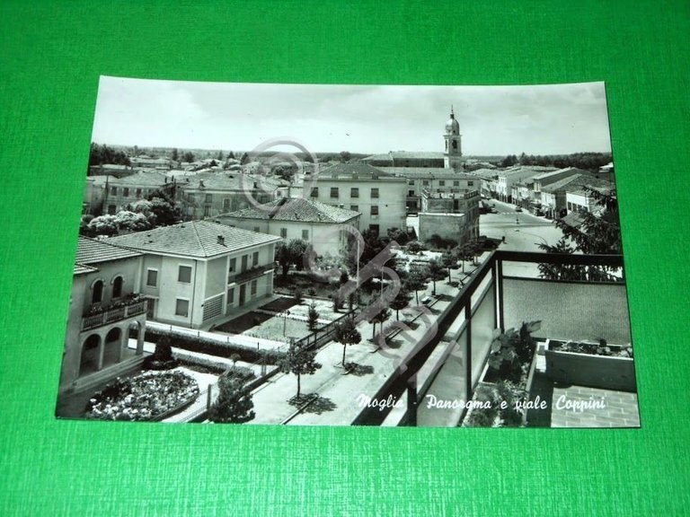 Cartolina Moglia - Panorama e viale Coppini 1960 ca. | Immagine Gallery 2