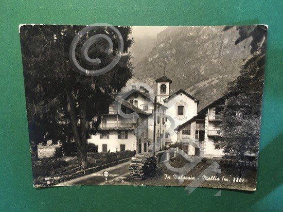 Cartolina Mollia - In Valsesia - 1960