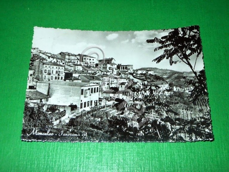 Cartolina Moncalvo - Panorama est 1951