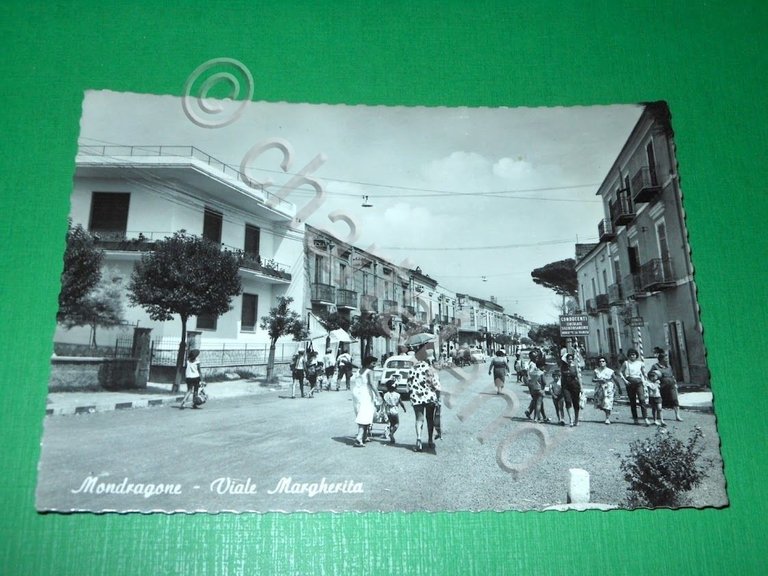 Cartolina Mondragone ( Caserta ) - Viale Margherita 1961.