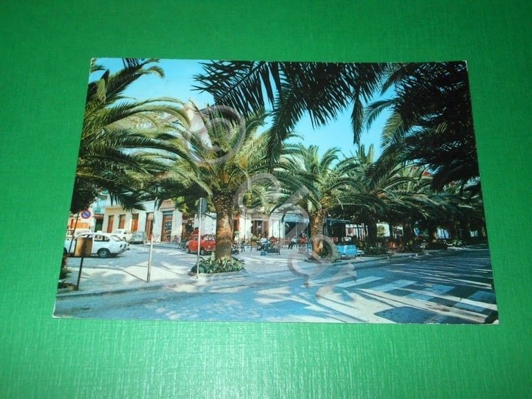 Cartolina Moneglia - Viale delle Palme 1970