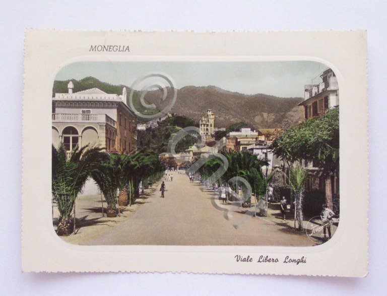 Cartolina Moneglia ( Genova )- Viale Libero Longhi 1953