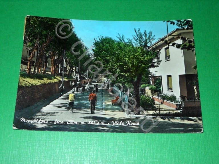 Cartolina Monghidoro ( Bologna ) - Viale Roma 1965