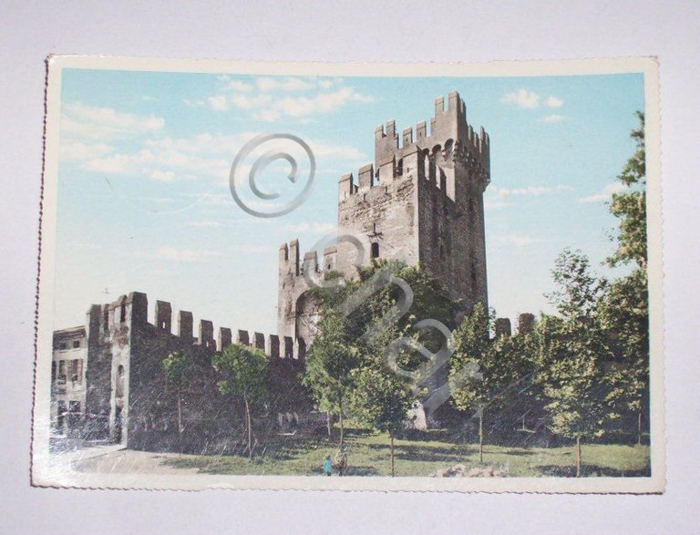 Cartolina Montagnana - Castello degli Alberi 1960