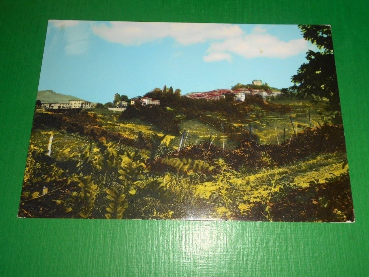 Cartolina Montaldeo - Panorama 1973.