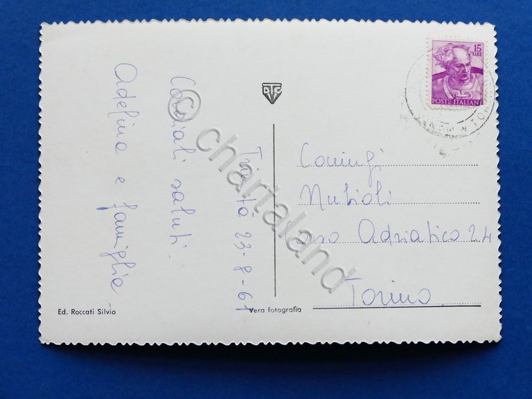 Cartolina Montaldo Torinese - Panorama - 1961