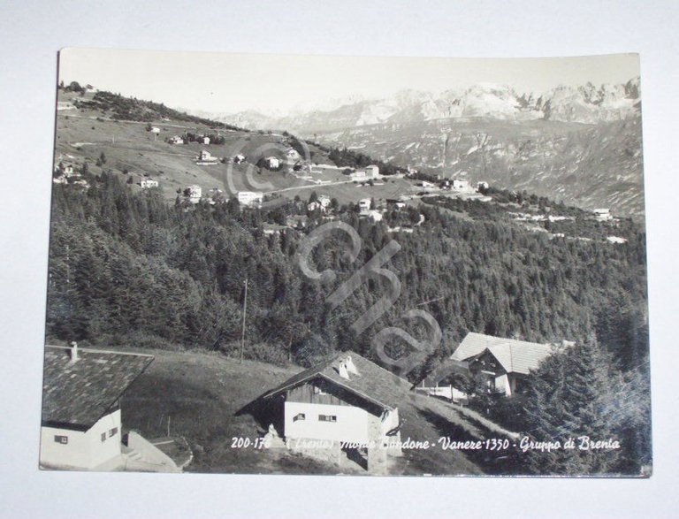 Cartolina Monte Bondese ( Trento ) - Vaneze 1960 ca