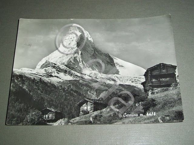 Cartolina Monte Cervino - Panorama 1955