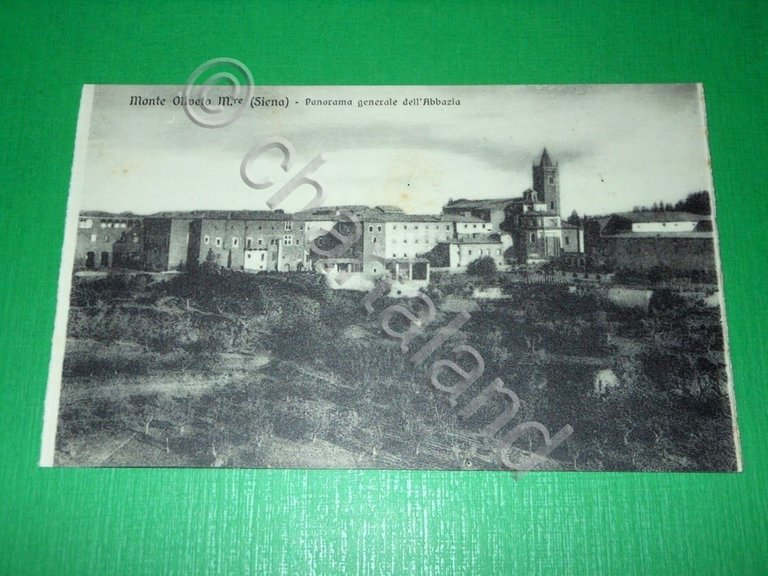 Cartolina Monte Oliveto Maggiore ( Siena ) - Panorama dell' …