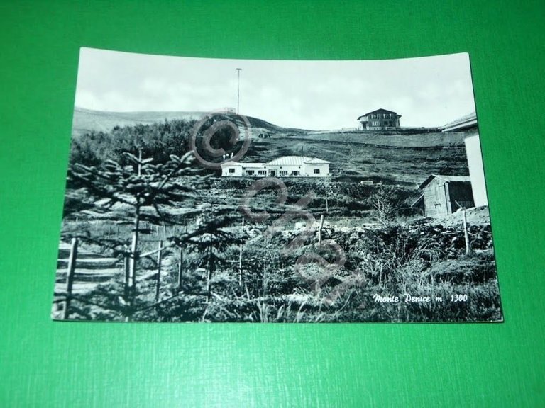 Cartolina Monte Penice - Scorcio panoramico 1955 ca.