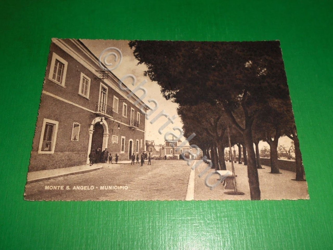 Cartolina Monte Sant'Angelo - Municipio 1940 ca.