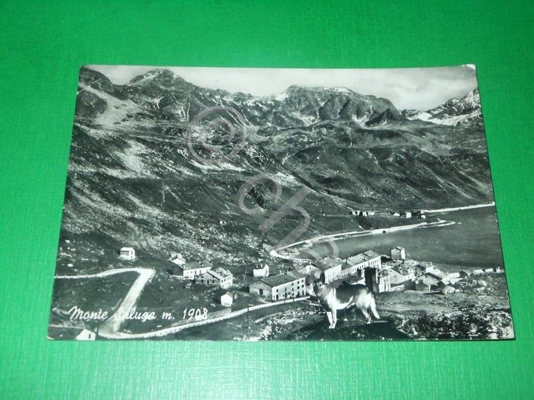 Cartolina Monte Spluga - Scorcio panoramico 1955