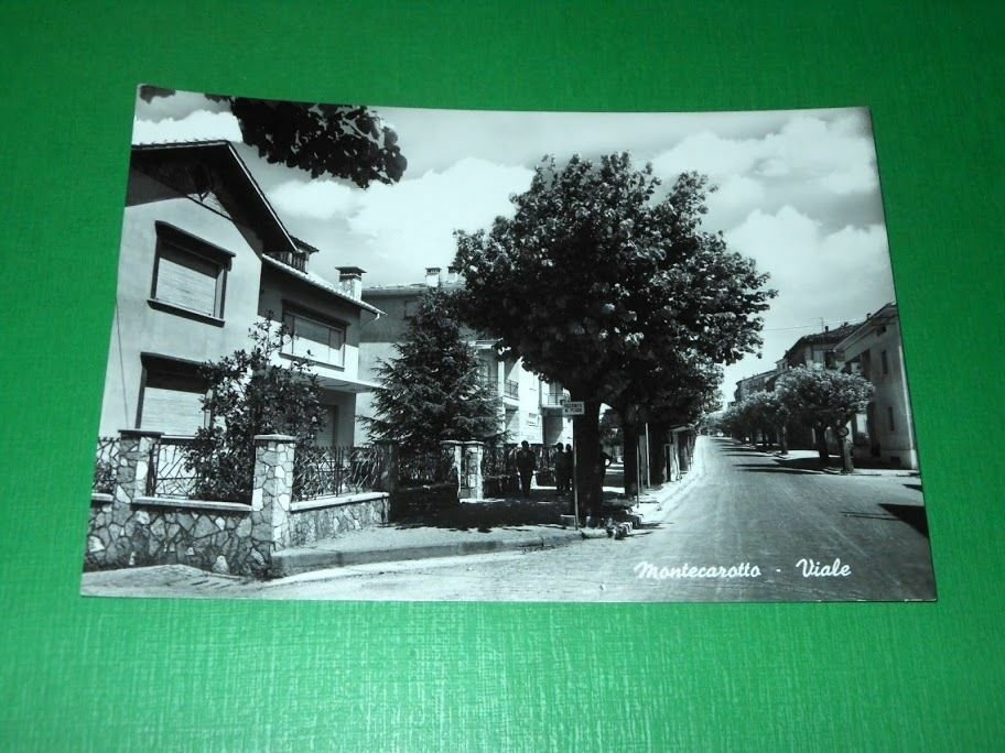 Cartolina Montecarotto - Viale 1955 ca.