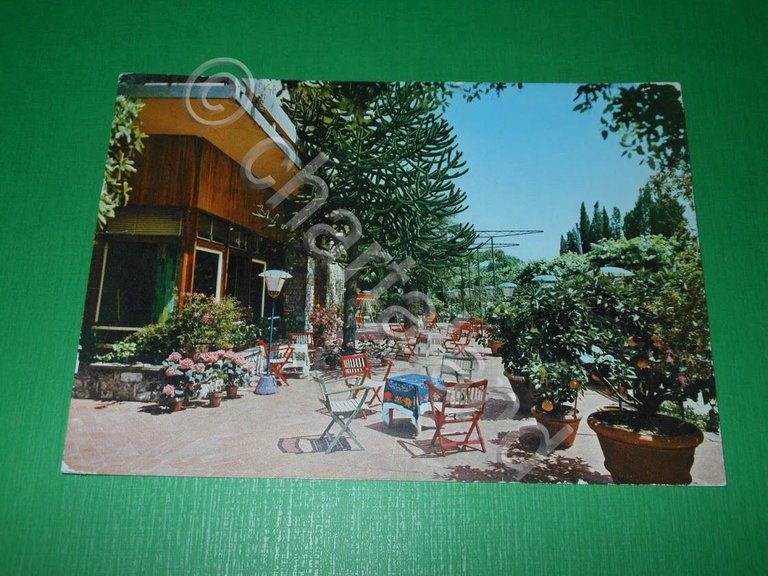 Cartolina Montecatini Terme - Hotel Tamerici & Principe 1969