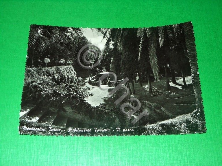 Cartolina Montecatini Terme - Stabilimento Torretta - Il parco 1954