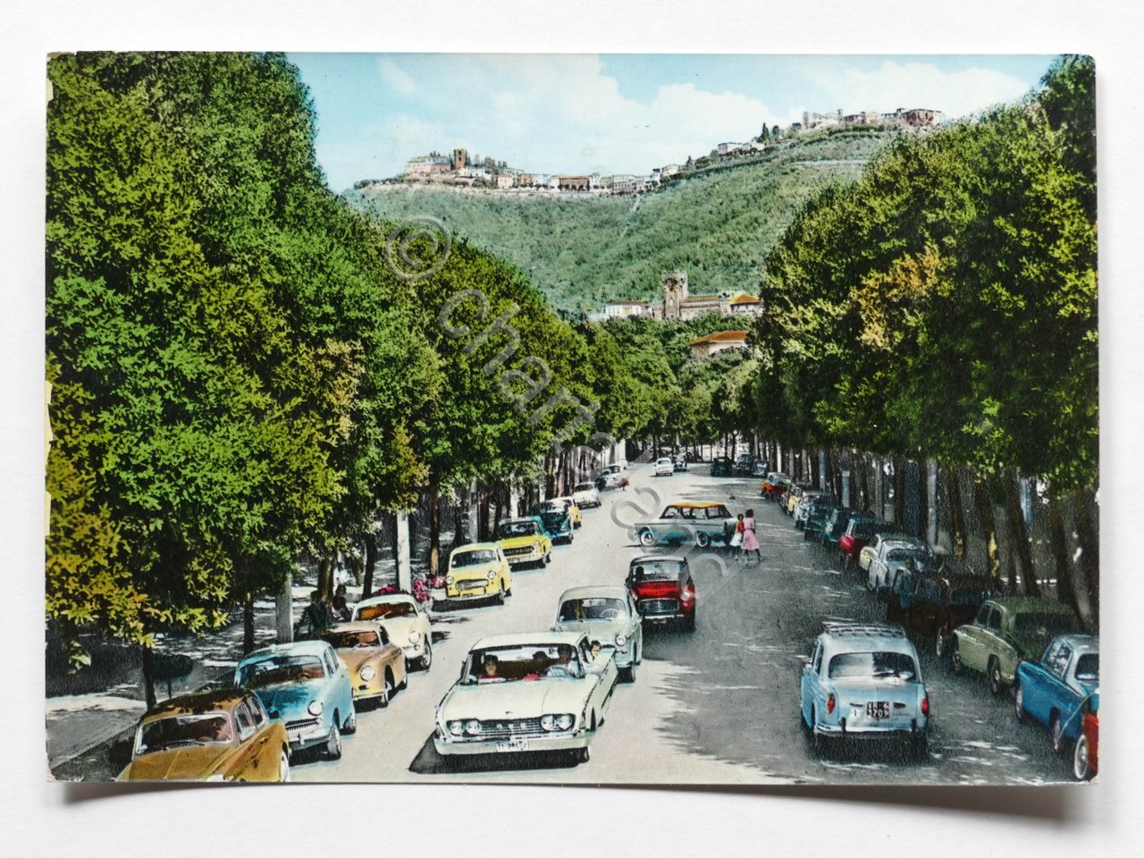Cartolina Montecatini Terme - Viale G. Verdi - 1964