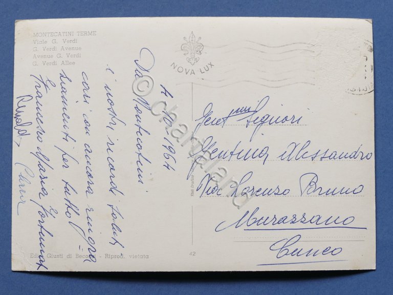 Cartolina Montecatini Terme - Viale G. Verdi - 1964
