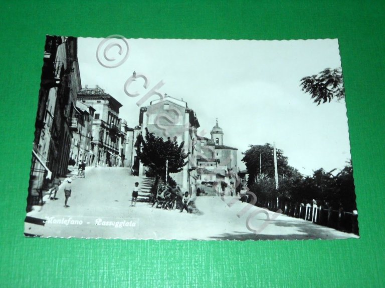 Cartolina Montefano ( Macerata ) - Passeggiata 1955 | Immagine Gallery 2