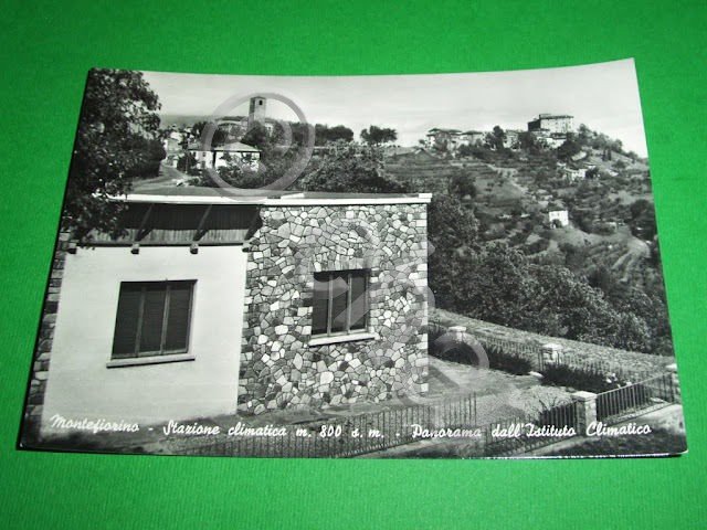 Cartolina Montefiorino - Panorama dall' Istituto Climatico 1957