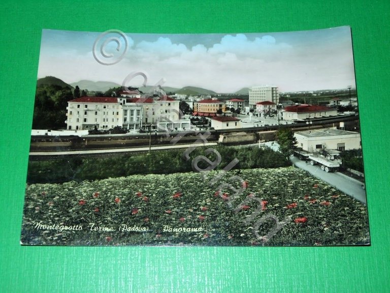 Cartolina Montegrotto Terme ( Padova ) - Panorama 1959 | Immagine Gallery 2
