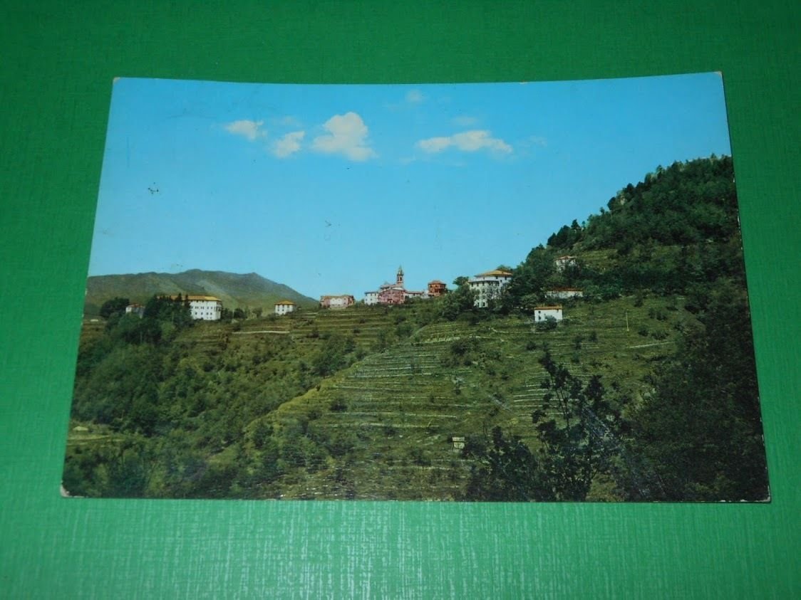 Cartolina Montemoggio ( Chiavari ) - Albergo Linari 1970.