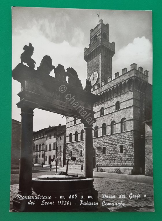 Cartolina Montepulciano - Pozzo dei Frifi e dei Leoni - …