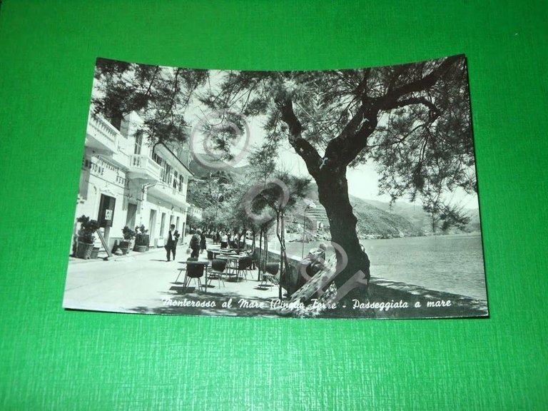 Cartolina Monterosso al Mare ( Cinque Terre ) - Passeggiata …