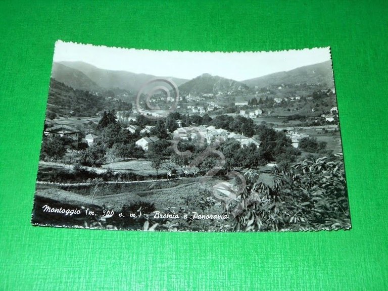 Cartolina Montoggio - Bromia e Panorama 1956.