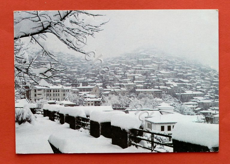 Cartolina Morano Calabro - Veduta panoramica - 1982